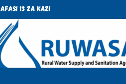 RUWASA Vacancies March 2024