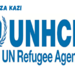 Registration Assistant at UNHCR March 2024