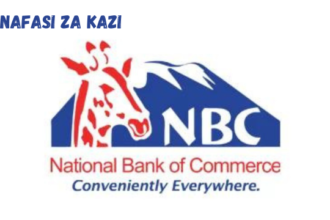 Relationship Manager Private Banking at NBC Bank March 2024