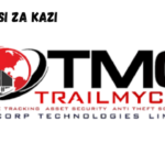 Sales and Marketing Executives job at Trailmycar Solutions Limited March 2024