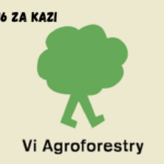 Seeking 16 Research Assistants at Vi Agroforestry March 2024