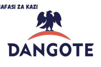 Senior Electrical Technician at Dangote March 2024