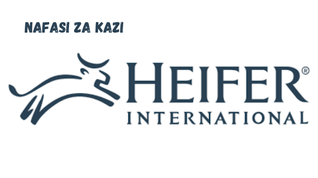 Signature Program Technical Lead at Heifer International 2024