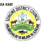 Songwe District Council Vacancies March 2024