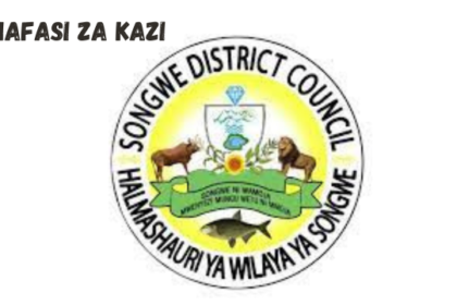 Songwe District Council Vacancies March 2024