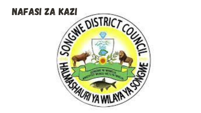 Songwe District Council Vacancies March 2024
