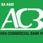 System Developer at Akiba Commercial Bank March 2024