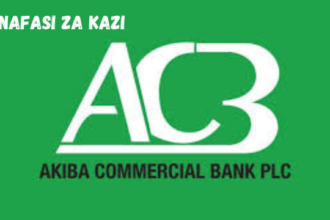 System Developer at Akiba Commercial Bank March 2024