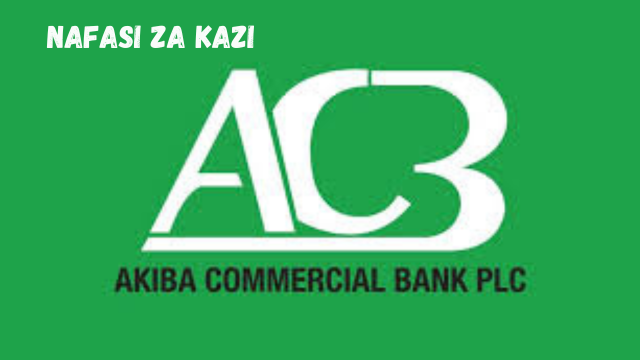System Developer at Akiba Commercial Bank March 2024