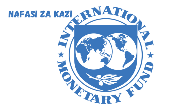 Tax Policy Regional Advisor at IMF March 2024