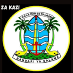 Various Dar es Salaam city Council Vacancies March 2024