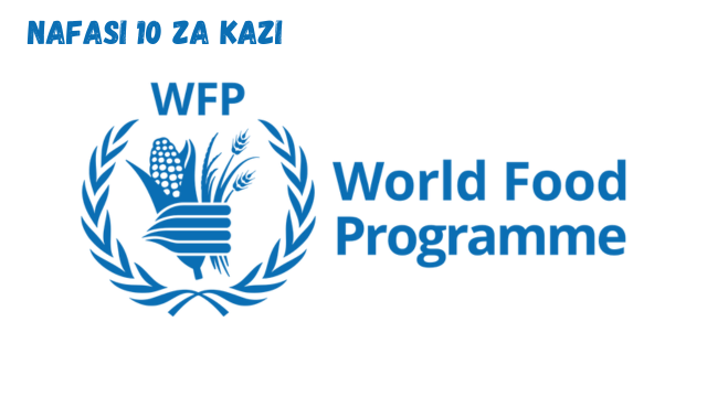 World Food Programme (WFP) Vacancies 2024