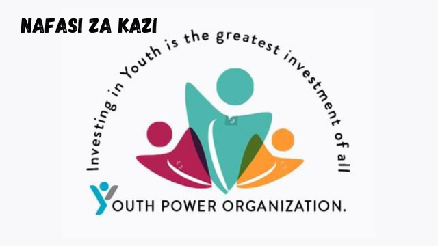 Field and Training Facilitator Job at Youth Power Organization (YPO) 2024