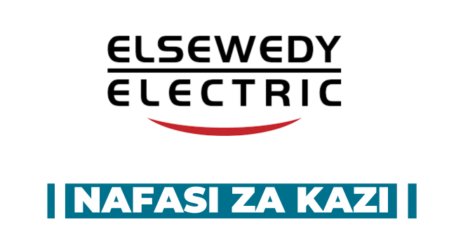 AP Accountant at Elsewedy Electric, December 2024