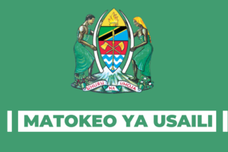 Ajira Portal Interview Results: Matokeo ya Usaili MNMA, December 2024