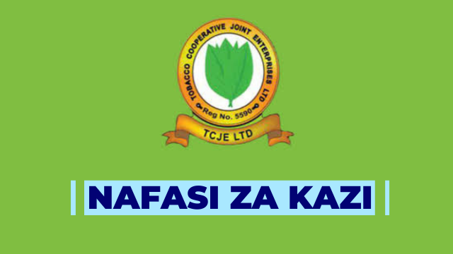 Cashier at TCJE Tanzania 2024