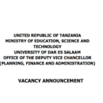 Infrastructure Development Officer at UDSM