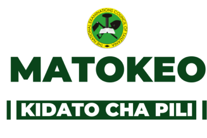 Matokeo ya Kidato cha Pili 2024 Form Two results 2024/2025 Released by NECTA: Check Your Score