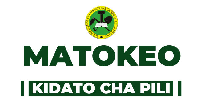 Matokeo ya Kidato cha Pili 2024 Form Two results 2024/2025 Released by NECTA: Check Your Score