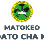 NECTA Matokeo ya Kidato cha Nne 2024/2025 - Form Four CSEE Results Checker for All Regions