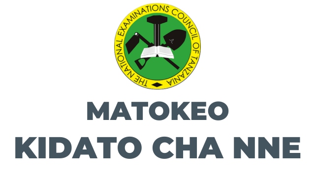 NECTA Matokeo ya Kidato cha Nne 2024/2025 - Form Four CSEE Results Checker for All Regions