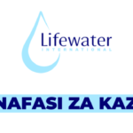 Sanitation and Hygiene Promoter at Lifewater