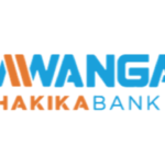 Senior Officer - Market & Credit Risk at Mwanga Hakika Bank Limited (MHB) Tanzania