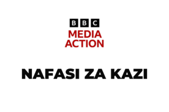 Senior Partnerships Manager Job at BBC Media Action