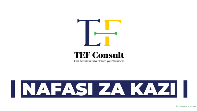Aftersales Service Desk Executives at TEF Consult, January 2025