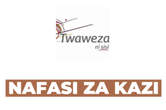 Executive Director (ED) at Twaweza, January 2025