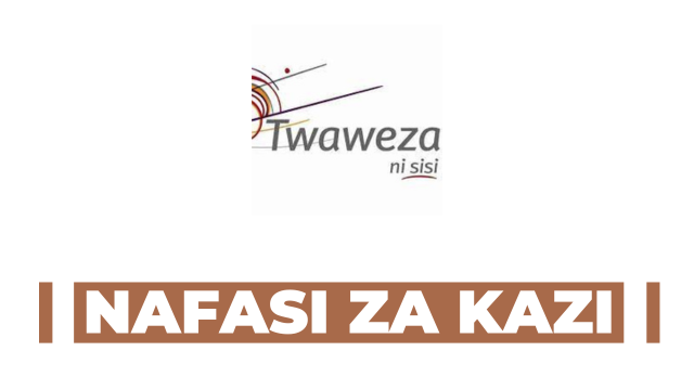 Executive Director (ED) at Twaweza, January 2025