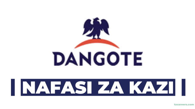 Junior Instrumentation Engineer at Dangote, January 2025
