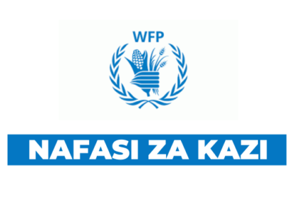 Monitoring Assistant at WFP January 2025