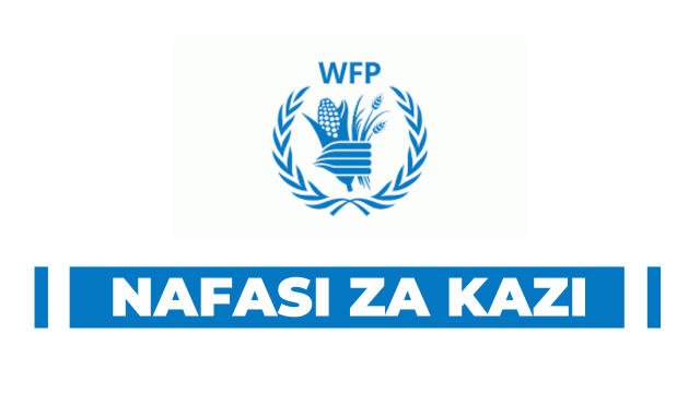 Monitoring Assistant at WFP January 2025