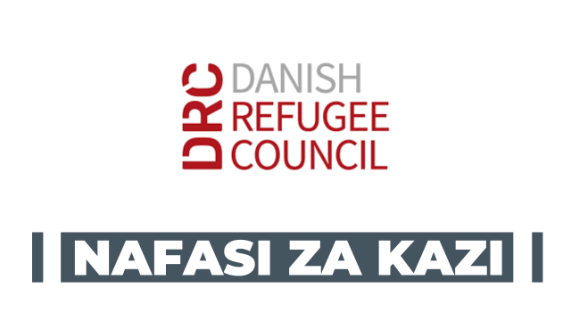 Supply Chain Officer (Logistics) at Danish Refugee Council, January 2025