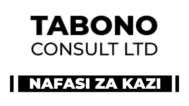 General Manager at Tabono Consult Tanzania Career