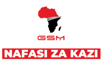 Project Engineer at GSM Group Of Companies Tanzania Career