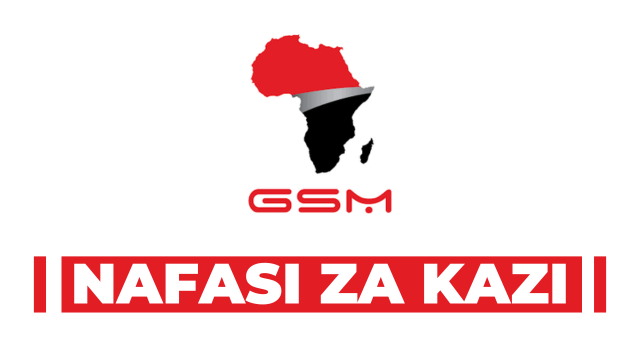 Project Engineer at GSM Group Of Companies Tanzania Career
