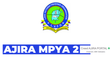 Nafasi za Kazi LVFO Tanzania 2025