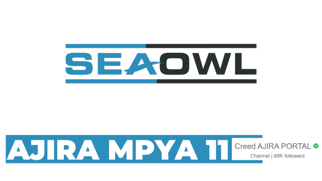 Nafasi za Kazi SEAOWL Tanzania 2025